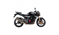 2003-2006 Kawasaki Z1000 Verkleidung