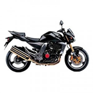 2003-2006 Kawasaki Z1000 Verkleidung