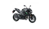 2013-2018 Kawasaki Z800 Verkleidung