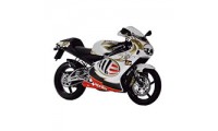 Aprilia RS250 Verkleidung