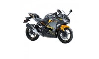 Kawasaki Ninja EX400 Verkleidung
