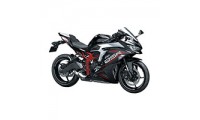 Kawasaki ZX25R Verkleidung