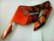 Honda CBR 1000 RR 2004-2005 Verkleidung - Orange Schwarz