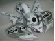 Honda CBR 1000 RR 2004-2005 Verkleidungen - Weiß Silber Schwarz Repsol