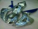 Honda CBR 1000 RR 2006-2007 Verkleidungen - Blau Flamme Silber