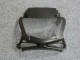 Honda CBR 600 F3 1995-1998 Verkleidungen - Schwarze Weiße Flamme