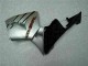 Honda CBR 600 RR 2005-2006 Verkleidungen - Silber