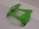 Kawasaki EX250 2008-2012 Verkleidung - Grün Schwarz
