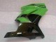 Kawasaki EX250 2008-2012 Verkleidung - Grün Schwarz