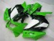 Kawasaki EX250 2008-2012 Vollverkleidung - Grün Schwarzer Ninja