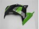 Kawasaki EX300 2013-2016 Verkleidung - Grün Schwarz Kawasaki EX300 2013-2016 Verkleidung - Grün Schwarz