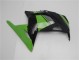 Kawasaki EX300 2013-2016 Verkleidung - Grün Schwarz Kawasaki EX300 2013-2016 Verkleidung - Grün Schwarz