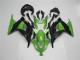 Kawasaki EX300 2013-2016 Verkleidung - Grün Schwarz Kawasaki EX300 2013-2016 Verkleidung - Grün Schwarz