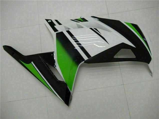 Kawasaki EX300 2013-2016 Verkleidungen - Grün Schwarz Silber