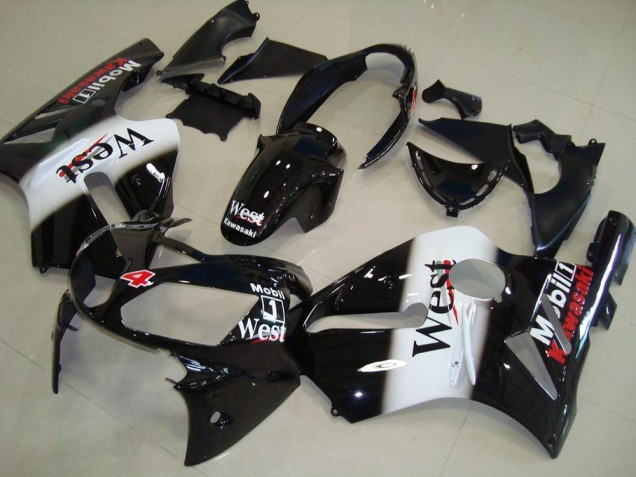 Kawasaki ZX12R 2002-2006 Verkleidung - West Kawasaki ZX12R 2002-2006 Verkleidung - West