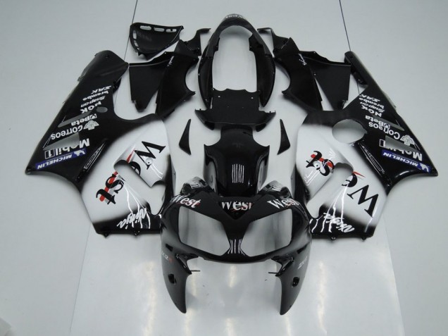 Kawasaki ZX12R 2002-2006 Verkleidungen - West