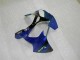 Kawasaki ZX6R 2000-2002 Verkleidungen - Blau
