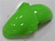 Kawasaki ZX6R 2000-2002 Verkleidungen - Grün Kawasaki ZX6R 2000-2002 Verkleidungen - Grün