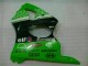 Kawasaki ZX6R 2000-2002 Verkleidungen & Plastik - Grün Schwarz Kawasaki ZX6R 2000-2002 Verkleidungen & Plastik - Grün Schwarz