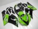 Kawasaki ZX6R 2005-2006 Verkleidungen - Grün Kawasaki ZX6R 2005-2006 Verkleidungen - Grün