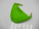 Kawasaki ZX6R 2005-2006 Verkleidungen - Grün Kawasaki ZX6R 2005-2006 Verkleidungen - Grün