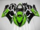 Kawasaki ZX6R 2005-2006 Verkleidungen - Grün Kawasaki ZX6R 2005-2006 Verkleidungen - Grün