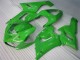Kawasaki ZX6R 2005-2006 Verkleidungen & Plastik - Grün
