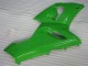 Kawasaki ZX6R 2005-2006 Verkleidungen & Plastik - Grün