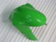 Kawasaki ZX6R 2005-2006 Verkleidungen & Plastik - Grün