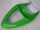 Kawasaki ZX6R 2005-2006 Verkleidungen & Plastik - Grün