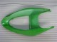 Kawasaki ZX6R 2005-2006 Verkleidungen & Plastik - Grün