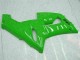 Kawasaki ZX6R 2005-2006 VollVerkleidungen & Plastik - Grün