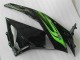 Kawasaki ZX6R 2009-2012 Verkleidung - Grün Schwarz