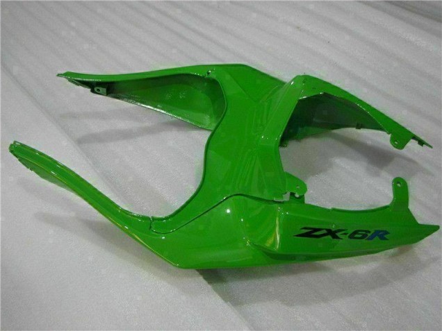 Kawasaki ZX6R 2009-2012 Verkleidungen - Grün Schwarzer LeoVince Kawasaki ZX6R 2009-2012 Verkleidungen - Grün Schwarzer LeoVince