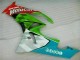 Kawasaki ZX6R 2009-2012 Verkleidungen - Rot Grün Motocard