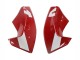 Ducati Panigale V2 Motorrad Verkleidung 2020-2024 - Rot Glanzendes Schwarz Monster Corse