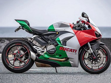 Ducati Panigale V2 Motorrad Verkleidung 2020-2024 - Silber Rot Grun