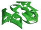Kawasaki ZX6R Motorrad Verkleidung 2005-2006 - Grun