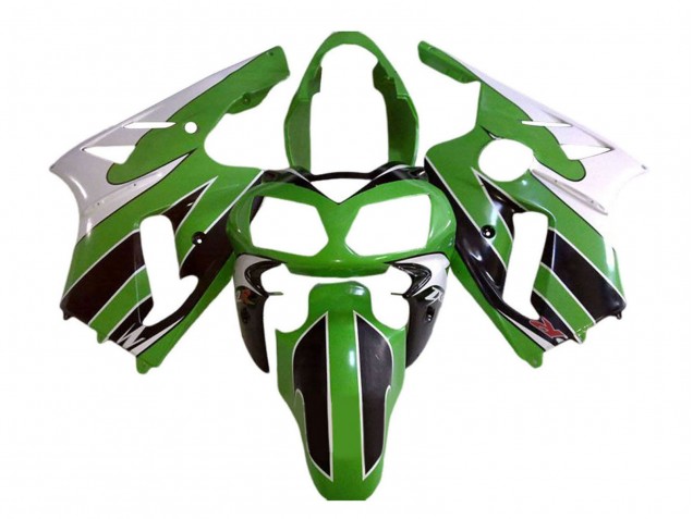 Kawasaki ZX12R Motorrad Verkleidung 2002-2006 - Weiss Grun Schwarz