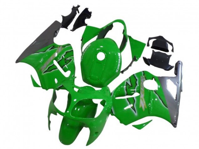 Kawasaki ZX12R Motorrad Verkleidung 2002-2006 - Grun Silber