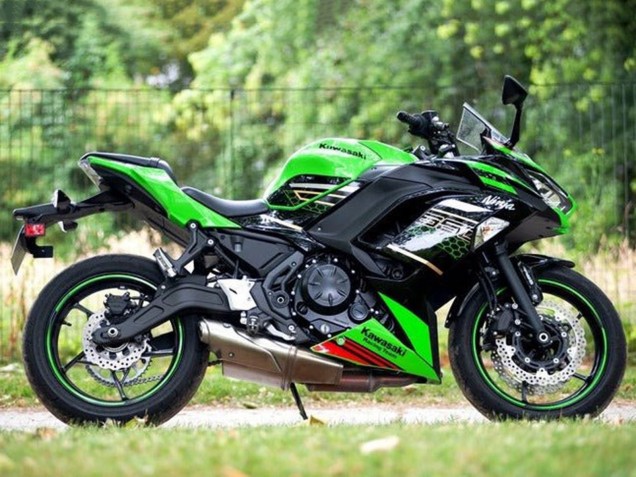 Kawasaki Ninja 650 EX650 Motorrad Verkleidung 2020-2024 - Grun Schwarz Rot Bienenwabe