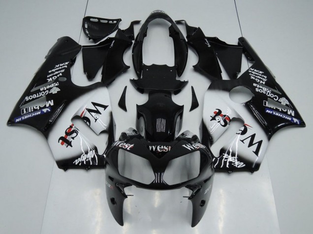 Kawasaki ZX12R Motorrad Verkleidung 2002-2006 - Glanzendes Schwarz Weiss West