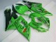 Suzuki GSXR 1000 K5 2005-2006 Verkleidungen - Grün