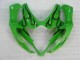Suzuki GSXR 1000 K5 2005-2006 Verkleidungen - Grün